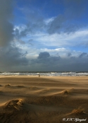 Vinder foto