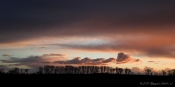 Morgenlys over læhegn, Flade