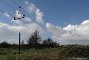 Efter skovbrand