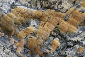 Moler mosaik