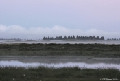 Tidligt morgen,  klithede, Thy