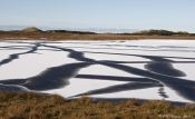 Vinter i Nationalpark Thy