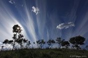Dekorative cirrus skyer