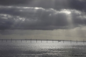 Garnfiskeri Limfjorden