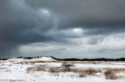 Vinter-stemning Nationalpark Thy