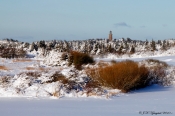 Vinter, Lodbjerg Klitplantage