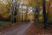 Oktober farver