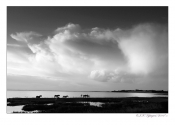 Limfjorden - Dråby Vig