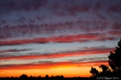 Smuk solnedgang 