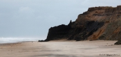 Sorte næse, Lodbjerg, Thy
