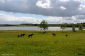 Ved Stubbegård Sø
