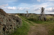 Parti fra Flade Sø