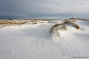 Vinter igen