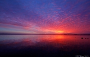 Morgenstund ved Østerstrand