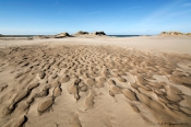 Lodbjerg Sande, Thy