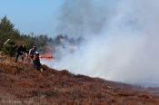 Ukontrolleret hedebrand  i Nr. Vorupør