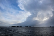 Massiv højvand i Limfjorden