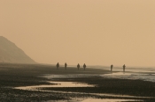 Strandvandring, Lyngby Thy