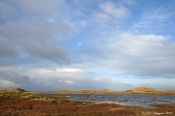 Vangså Hede - januar himmel