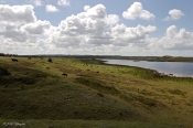 Hykær, Hansted reservatet