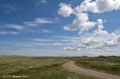 Redningsvejen, Nordthy