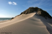 Vandreklit, Nationalpark Thy