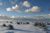 Vinter på Vangså Hede