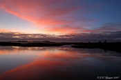 Efter solnedgang, Housør Røn